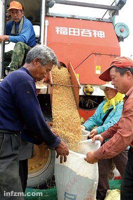 粮食企业收购加工销售(粮食收购及加工成本会计分录)