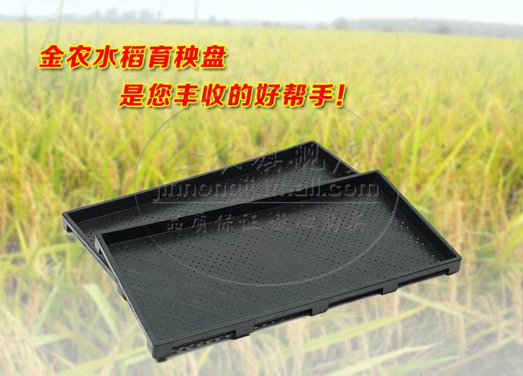 网格水稻盘(水稻秧盘怎么用)