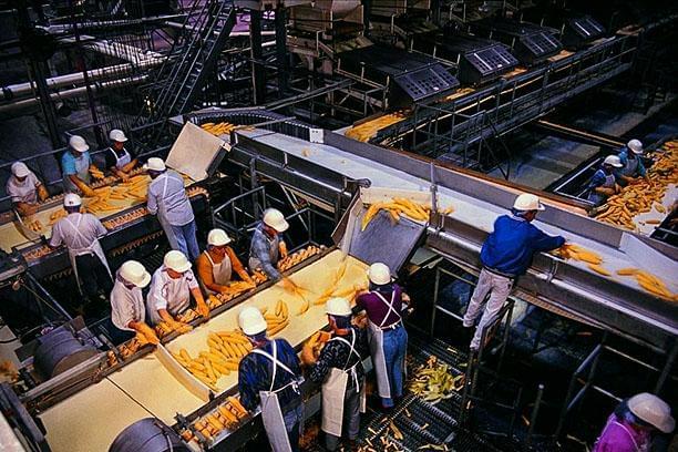 粮食企业用什么燃料(粮食企业用什么燃料最多)