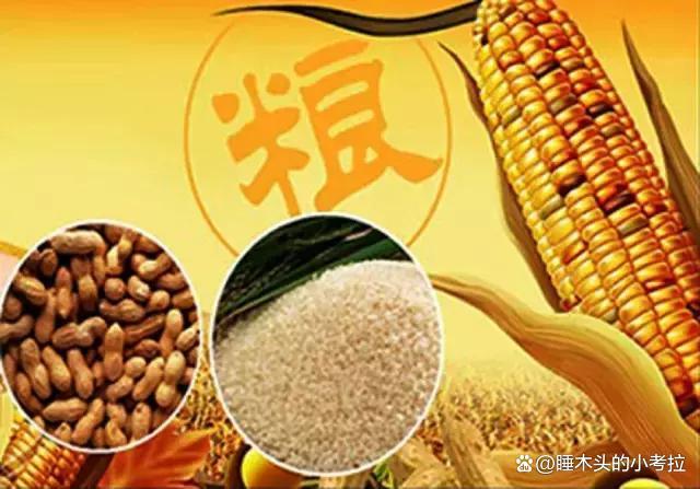 粮食企业风险防控三要素是什么(粮食企业风险防控三要素是什么内容)