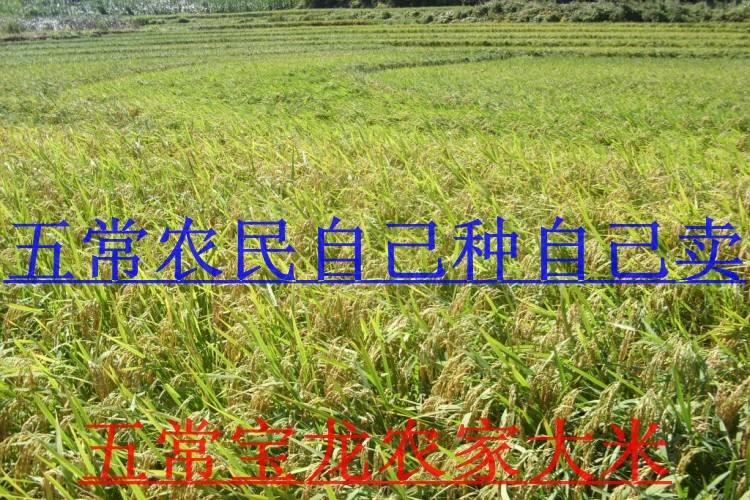 水稻生产的自然条件(水稻生产的自然条件包括)