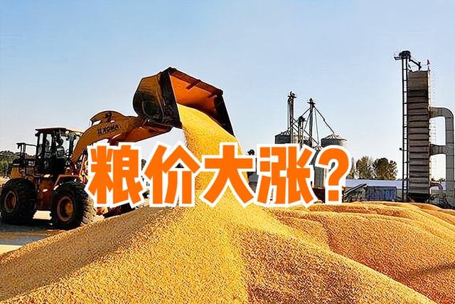 2022年水稻补贴价格(二零二零年水稻补贴多少钱)