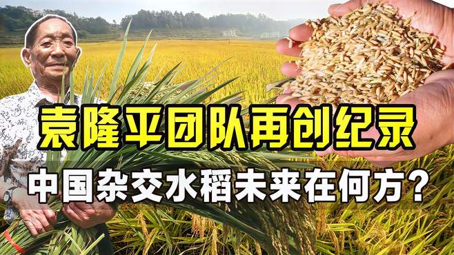 关于超级杂交水稻出口专利申请的信息