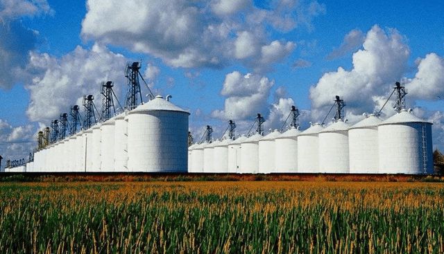 国有粮食企业仓储情况汇报(国有粮食企业仓储情况汇报怎么写)