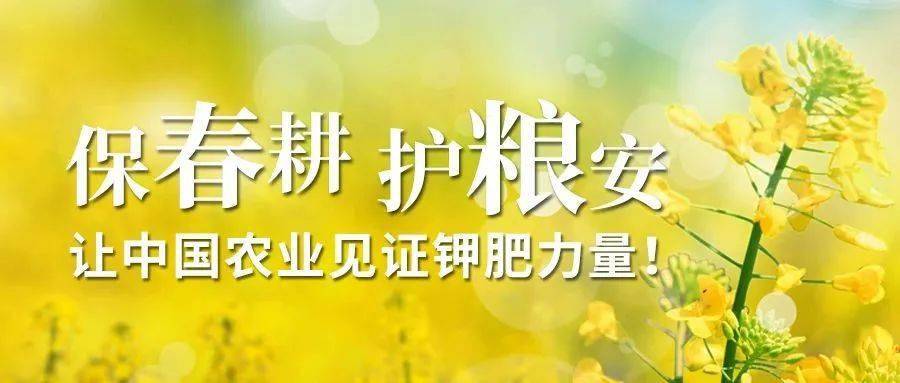 粮食企业使命说明怎么写(粮食企业使命说明怎么写范文)
