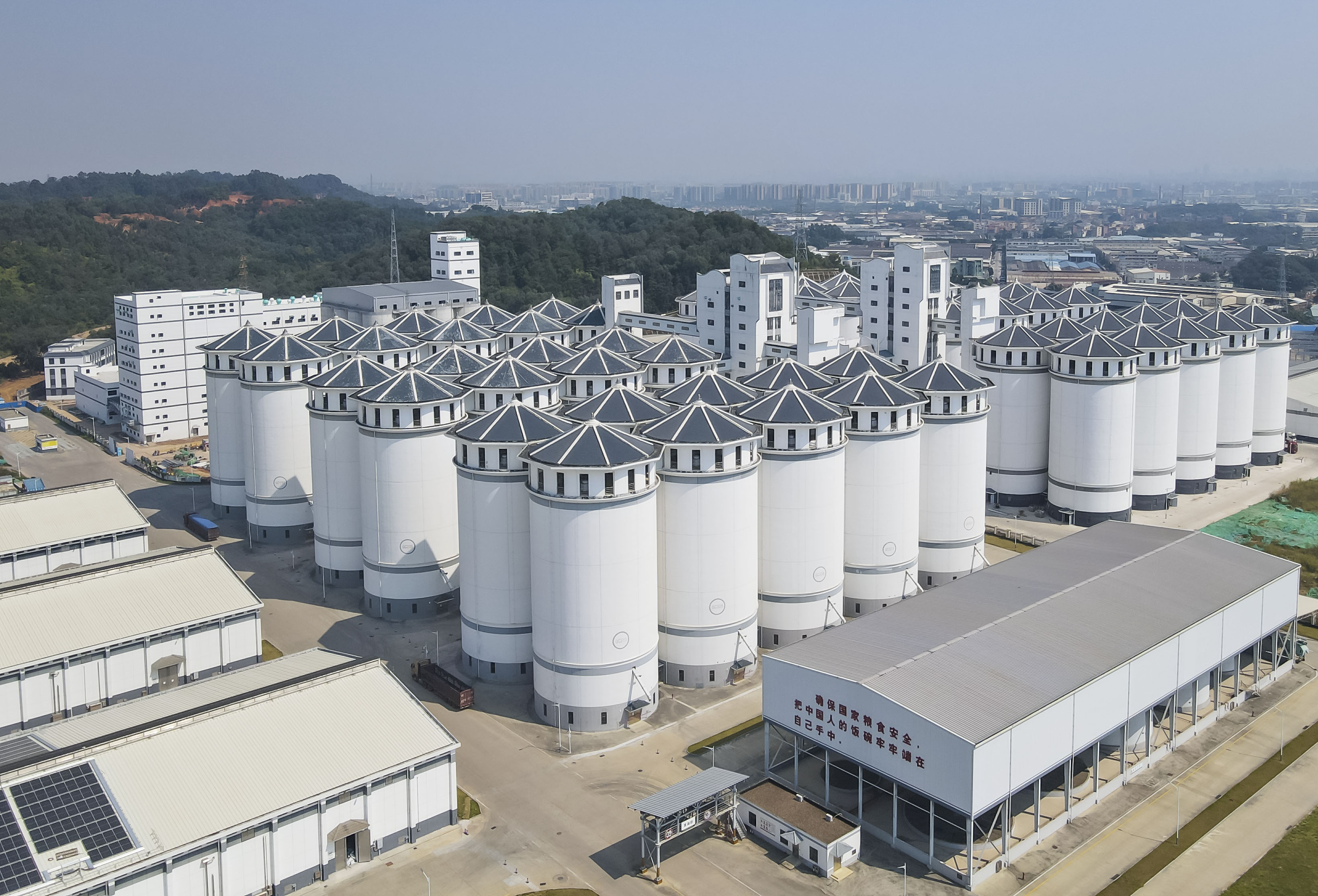 粮食企业数字仓库管理办法(粮食企业数字仓库管理办法规定)