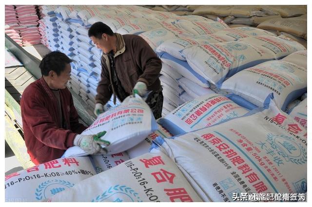 中国复合肥网网价格行情(2021年中国复合肥100强)