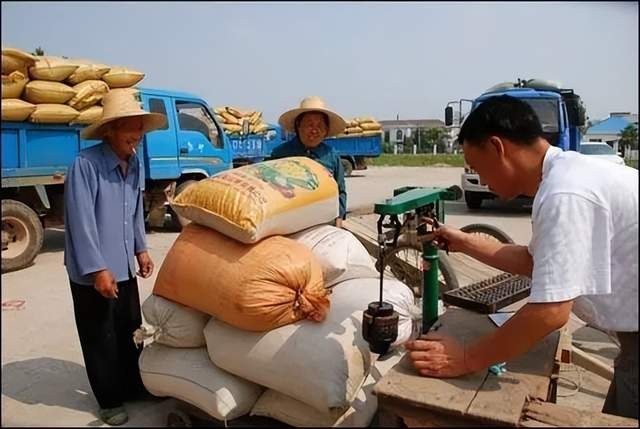 收购不合格政策性粮食企业(粮食收购者未执行国家粮食质量标准的罚款多少)