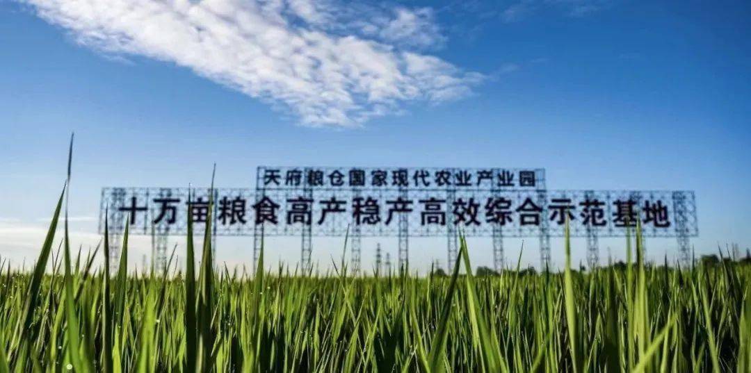 国有粮食企业改革计划(国有粮食企业改革亮点和典型)