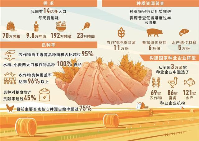 粮食企业普查报告总结范文(粮食企业普查报告总结范文怎么写)