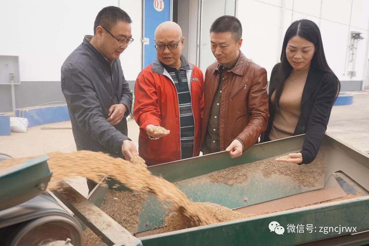 湖北地区粮食企业(湖北地区粮食企业排名)