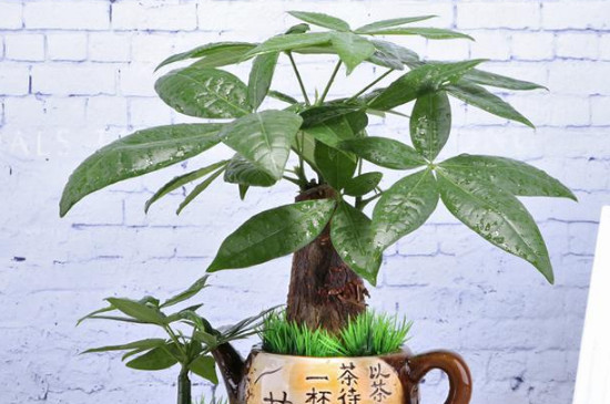 大旺复合肥(大旺复合肥是哪里生产的)