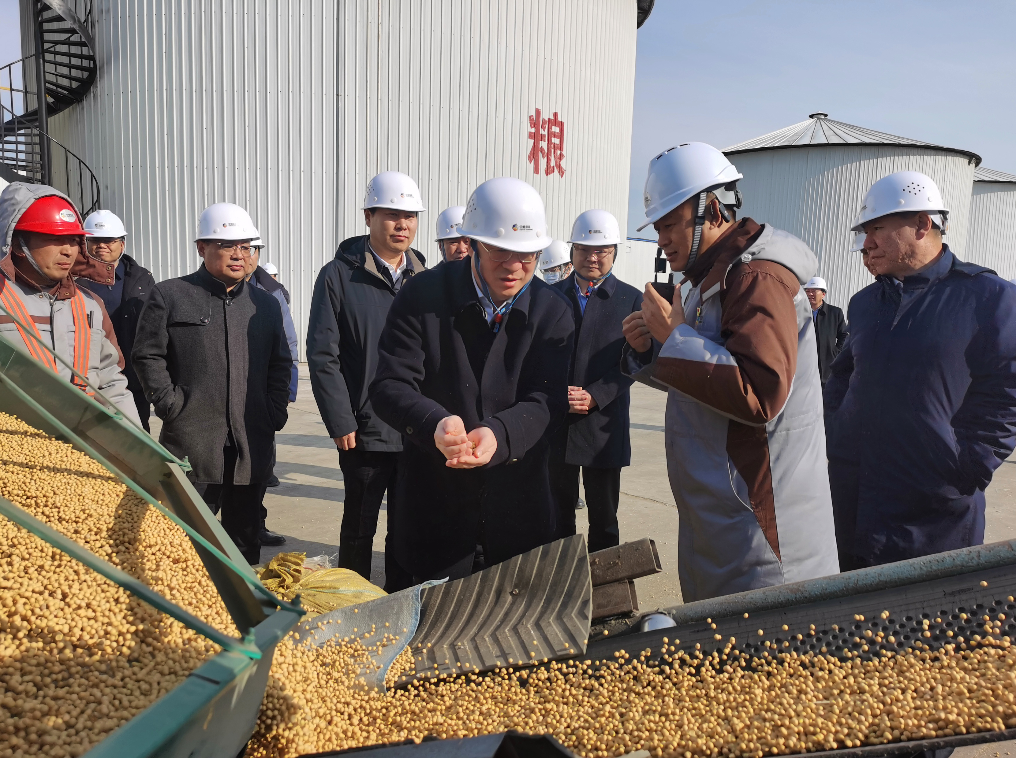 地方粮食企业改制政策依据(地方粮食企业改制政策依据有哪些)