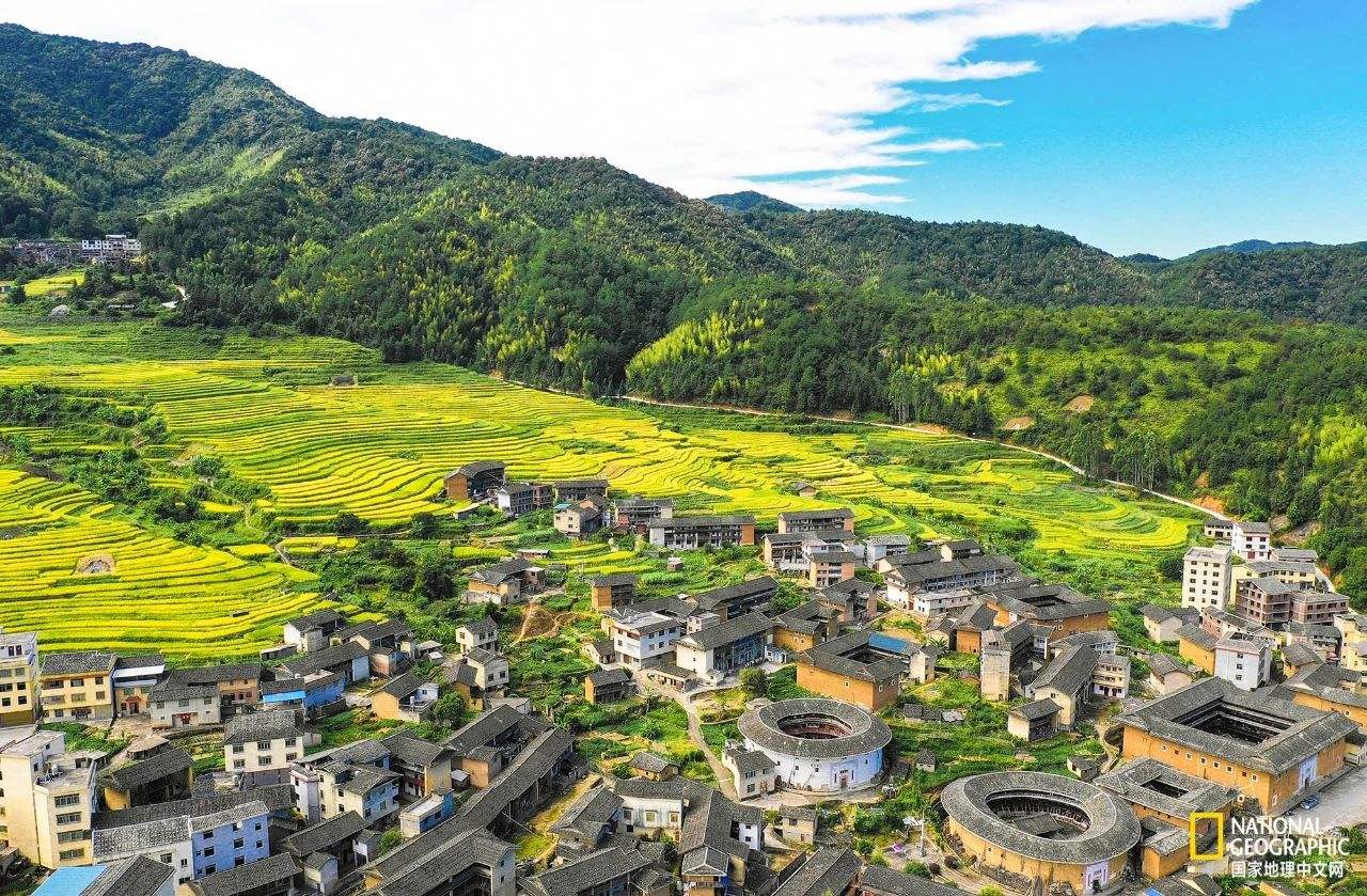 福建永定水稻(福建水稻种植面积)