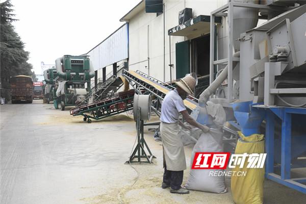 常德市粮食企业改革(常德市粮食企业改革最新消息)