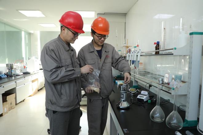 国有粮食企业案例报告制度(国有粮食企业案例报告制度规范)