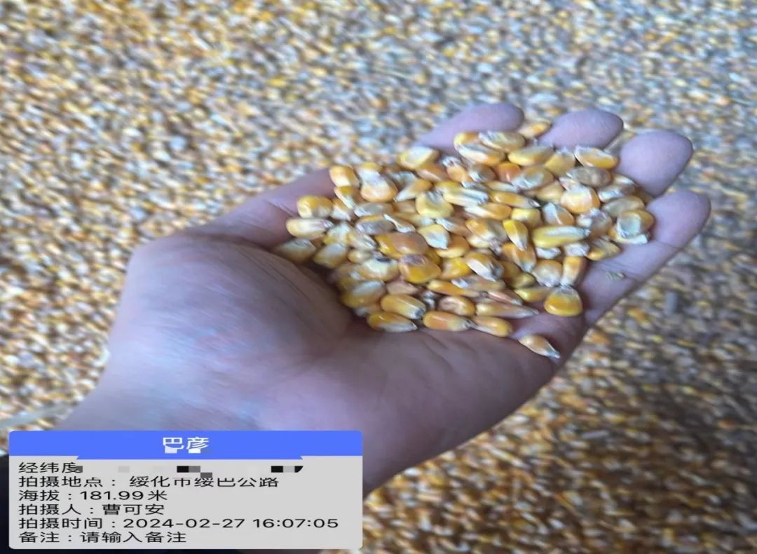粮食企业出库费(粮食企业出库费怎么算)