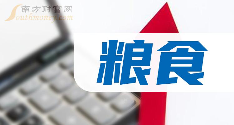 粮食企业五化是什么(粮食企业十四五规划总体思路)