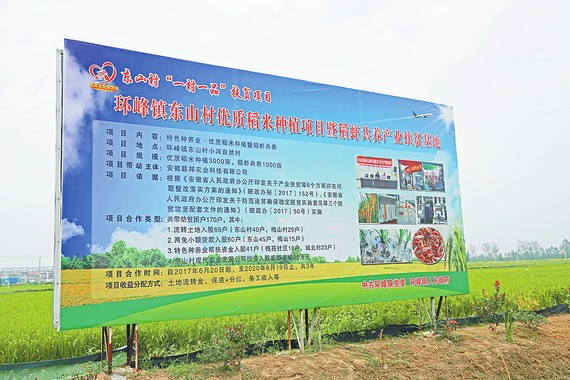 粮食企业五化是什么(粮食企业十四五规划总体思路)