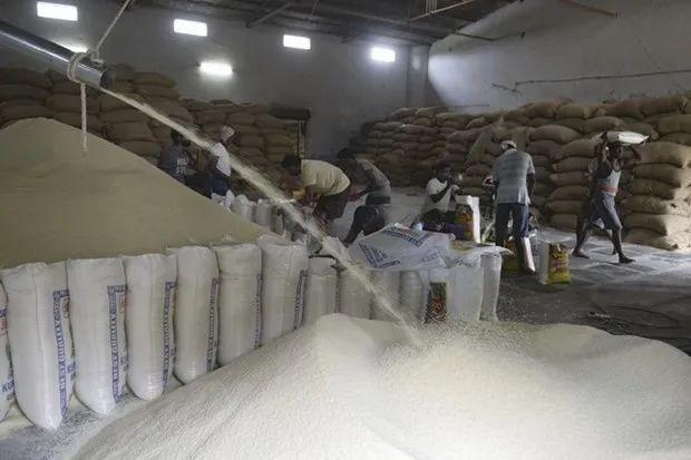 越南粮食企业现状(越南粮食企业现状如何)