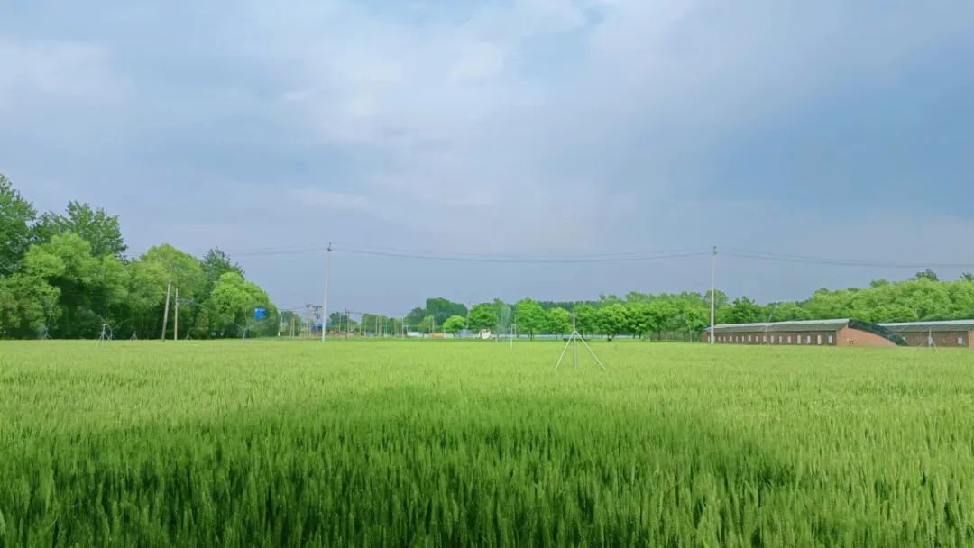 北京海淀区粮食企业(北京海淀区法院电子诉讼平台)