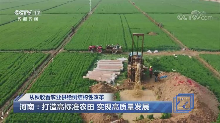 粮食企业改制后发展(粮食企业改制存在的问题及对策)