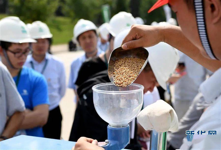 辽宁省国企粮食企业有哪些(辽宁省国企粮食企业有哪些单位)