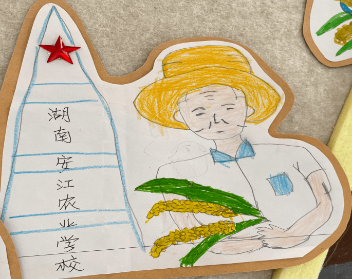 水稻介绍幼儿(关于水稻的幼儿绘本)