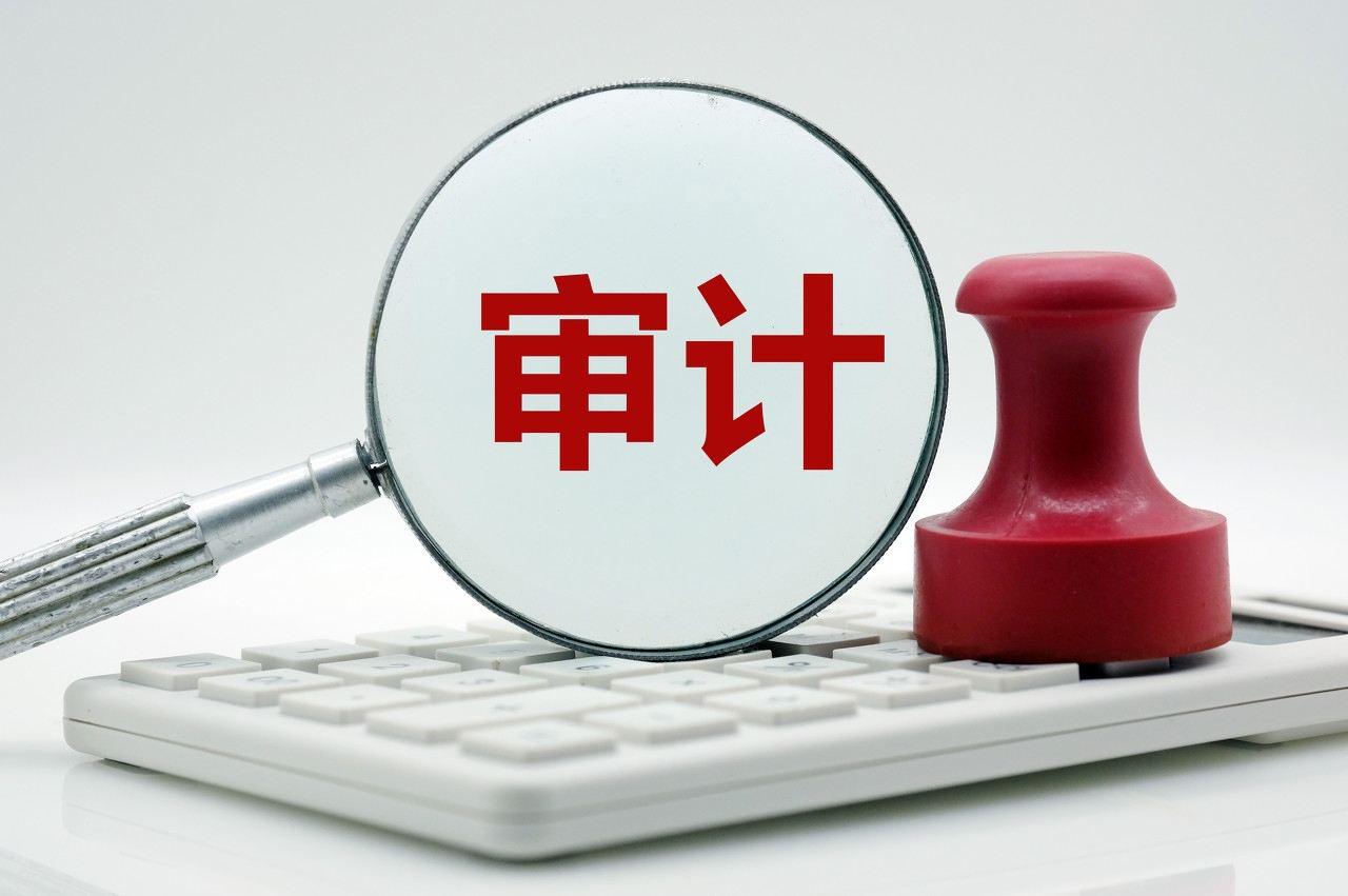 粮食企业审计案例(粮食企业审计案例分析)