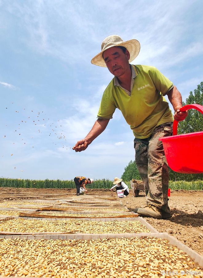郯城县粮食企业排名榜名单(郯城县粮食企业排名榜名单公示)