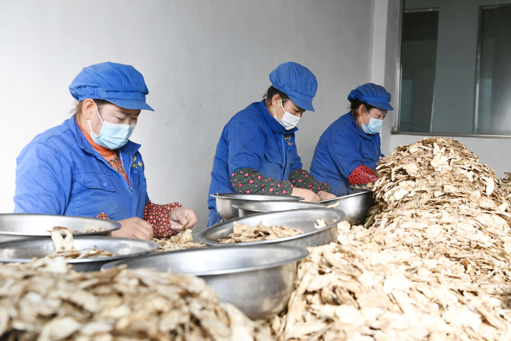 岷县国有粮食企业有哪些(岷县国有粮食企业有哪些企业)
