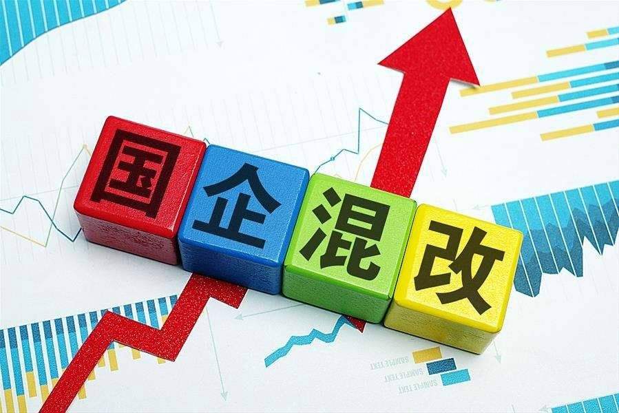 漯河市粮食企业改革方案(漯河市2021年粮食补贴款)