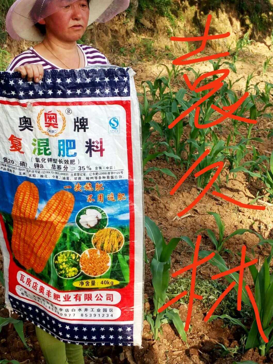 金子牌复合肥(金字复合肥产地在哪个省)