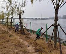 新沭化复合肥是真的吗(沭阳新合捷花卉有限公司)