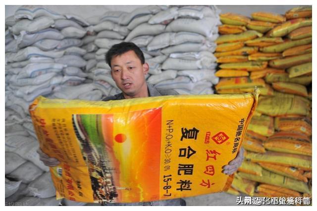 复合肥价格查询网(2021年复合肥最新价格)