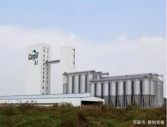 粮食企业介绍(粮食公司简介宣传册)