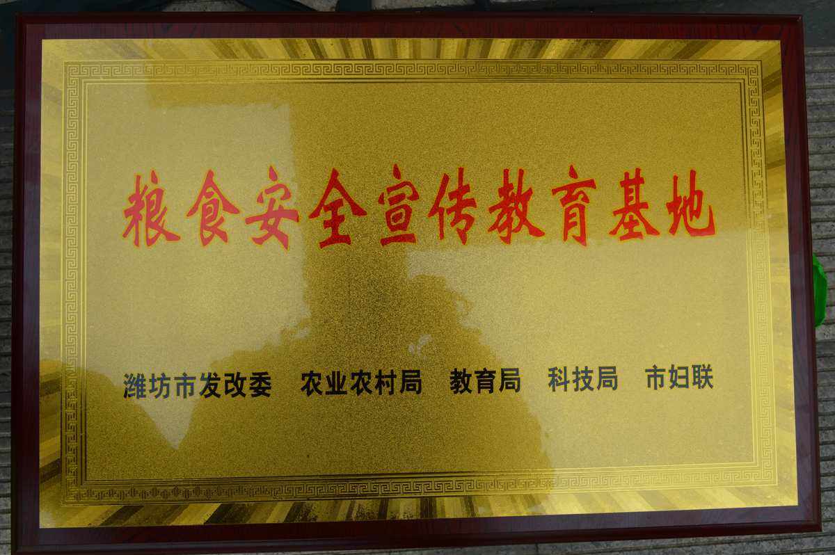 粮食企业介绍(粮食公司简介宣传册)