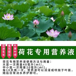 莲藕适合哪种复合肥(莲藕初期施哪种复合肥)