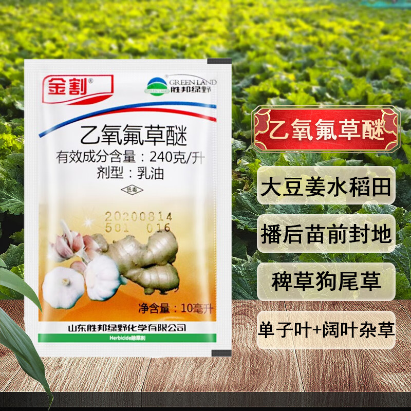乙草氟可以防水稻吗(乙羧氟草醚在水稻田使用方法)