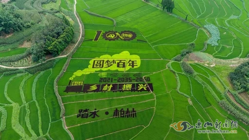 杜良乡水稻水从哪来(水稻乡什么时候开发呢?)