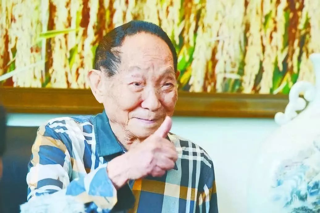 袁隆平杂交水稻利弊(袁隆平杂交水稻的重要性)