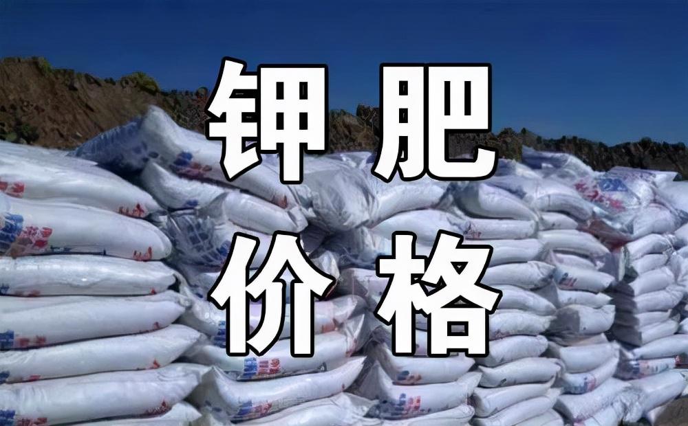 复合肥市场价(复合肥市场价格化肥价格走势)