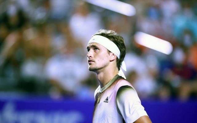 atp8水稻(水稻产生atp的场所)