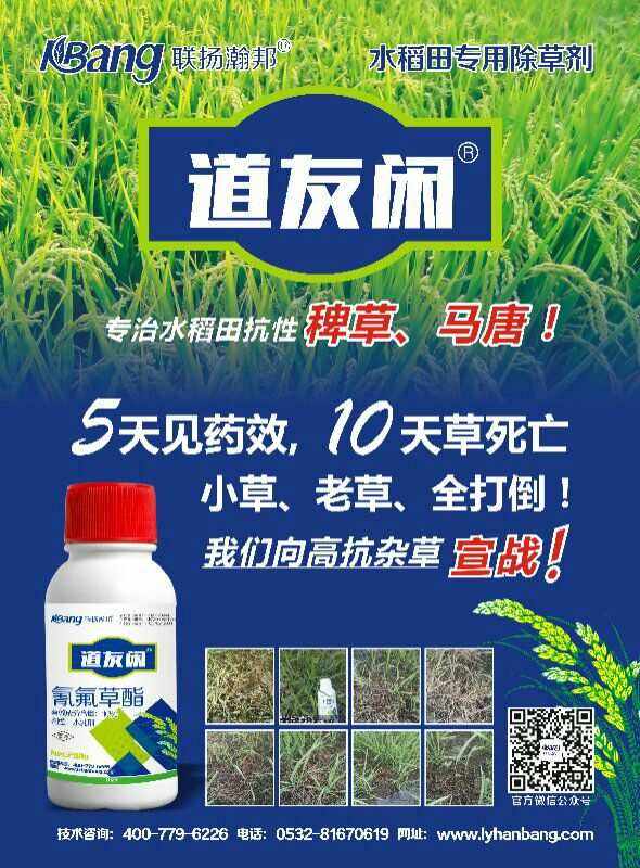 水稻分岔剂(水稻分蘖用什么药)