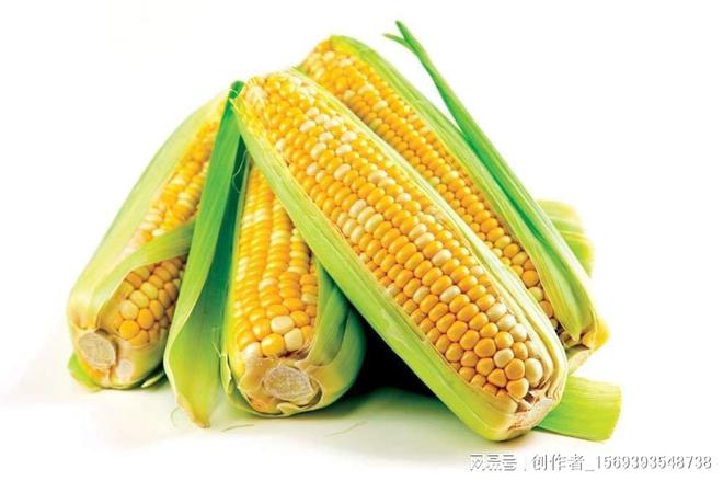 水稻玉米文案(宣传玉米的软文)