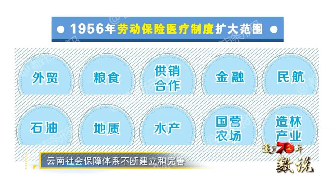 粮食企业如何缴纳社保(粮食企业如何缴纳社保费)