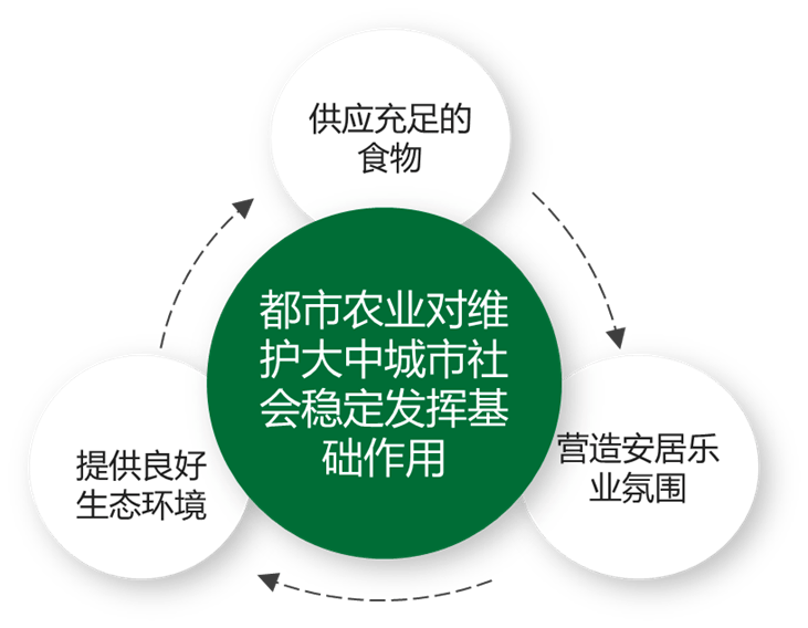 国有粮食企业经营思路及措施(国有粮食企业发展存在的问题及建议)