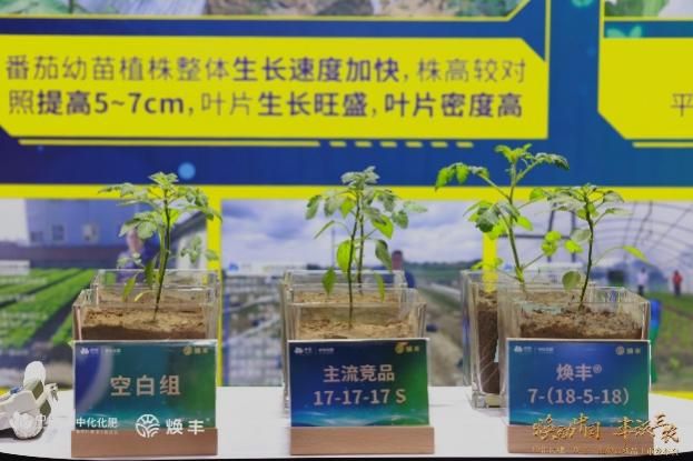 2017复合肥五十强(复合肥百强企业2018)