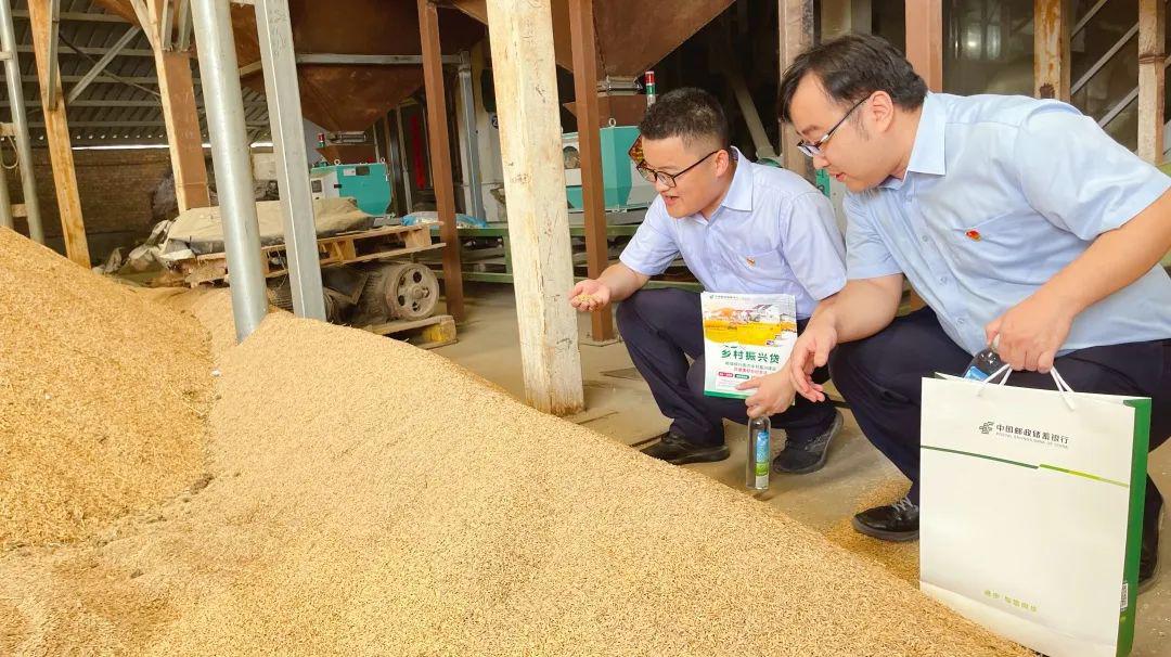 助力粮食企业(助力粮食企业销售方案)