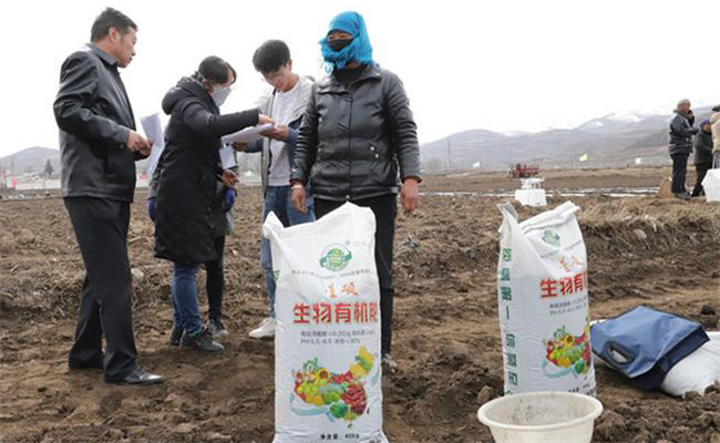 用复合肥做底肥(用复合肥做底肥种小白菜能烧吗)